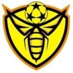 The Human Beehive