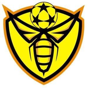 Human Beehive